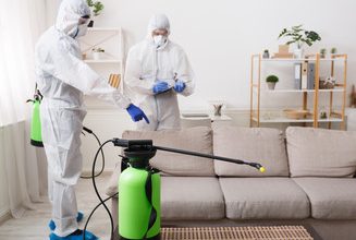local exterminators near me