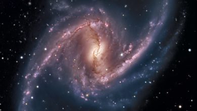 Top 10 Largest Galaxies in the Known Universe