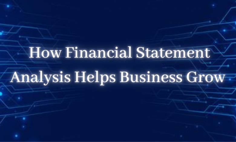 Financial Statement Analyzer