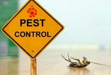 Pest Control Company Lahore