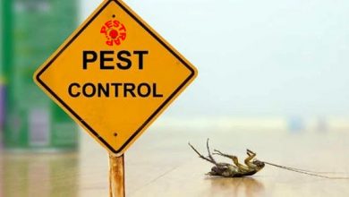 Pest Control Company Lahore