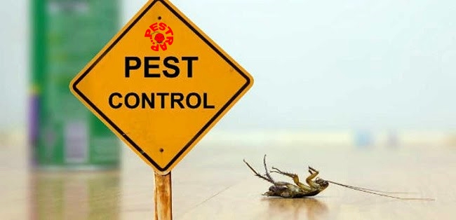 Pest Control Company Lahore