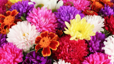 order flowers online