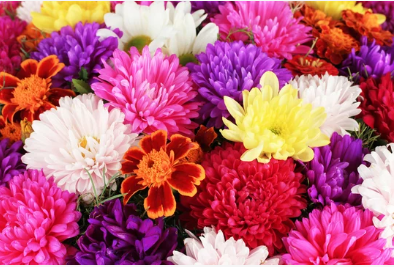 order flowers online
