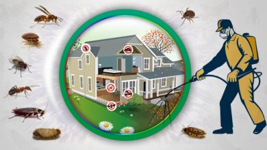 ant control