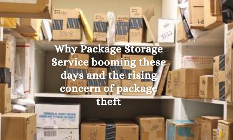 Why Package Storage Service booming these days and the rising concern of package theft