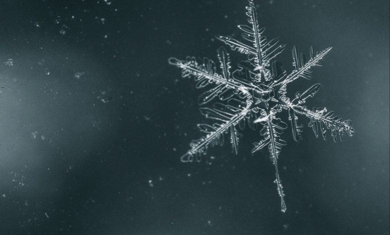 the snowflake test