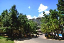 Experience hundreds of Caribbean Pine Trees in Camella Manors - Condo in the Philippines