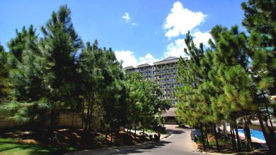 Experience hundreds of Caribbean Pine Trees in Camella Manors - Condo in the Philippines