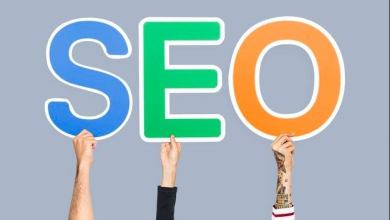 Top Seo company in india