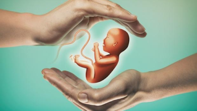 IVF Process