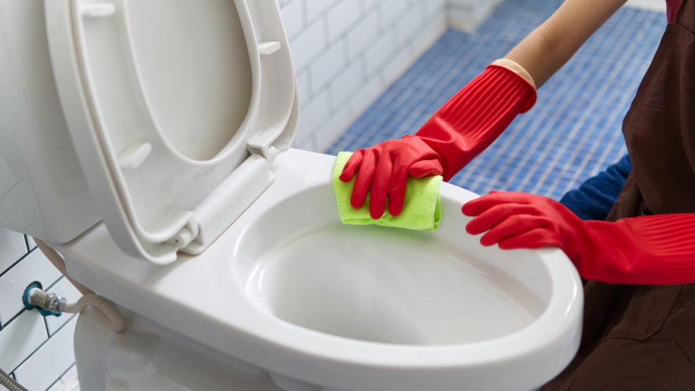 Clean the Toilet Bowl