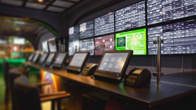 cricket exchange betting