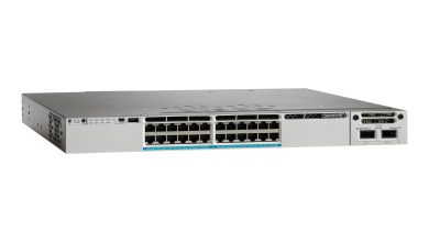 WS-C3850-24XU-L