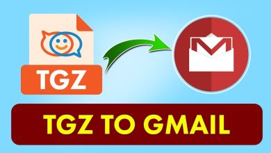 convert zimbra to gmail