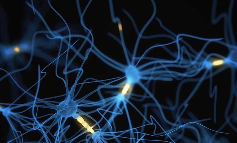 Neurologists in Islamabad