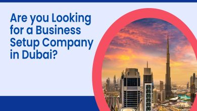 Business Setup Company in Dubai