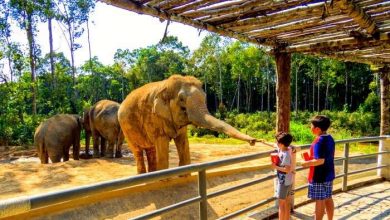 Private Zoo Tours & Animal Encounters Open in LA