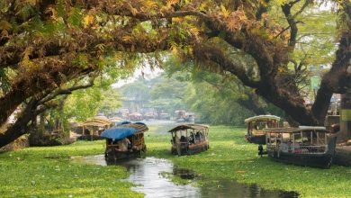 Tourist Places In Kerala