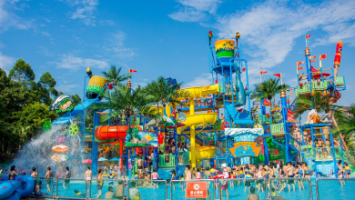 Guangzhou Chimelong Water Park