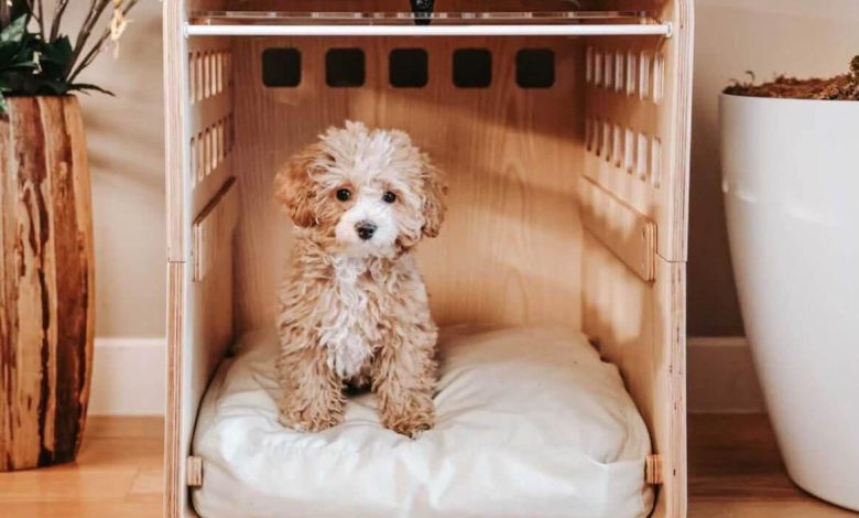 dog transport cages