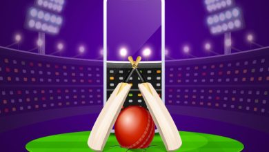 new fantasy app